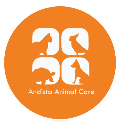 Andista
