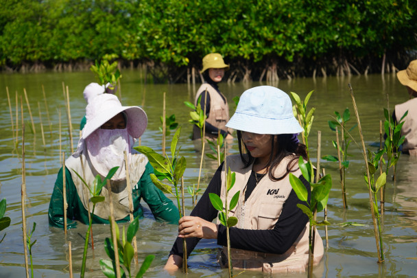 KAI Logistik Tanam 500 Pohon Mangrove, Tegaskan Komitmen pada Logistik Berkelanjutan dan Lingkungan