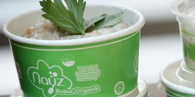 Peluang Bisnis Bubur Bayi Organik: Kemitraan dengan Modal Terjangkau