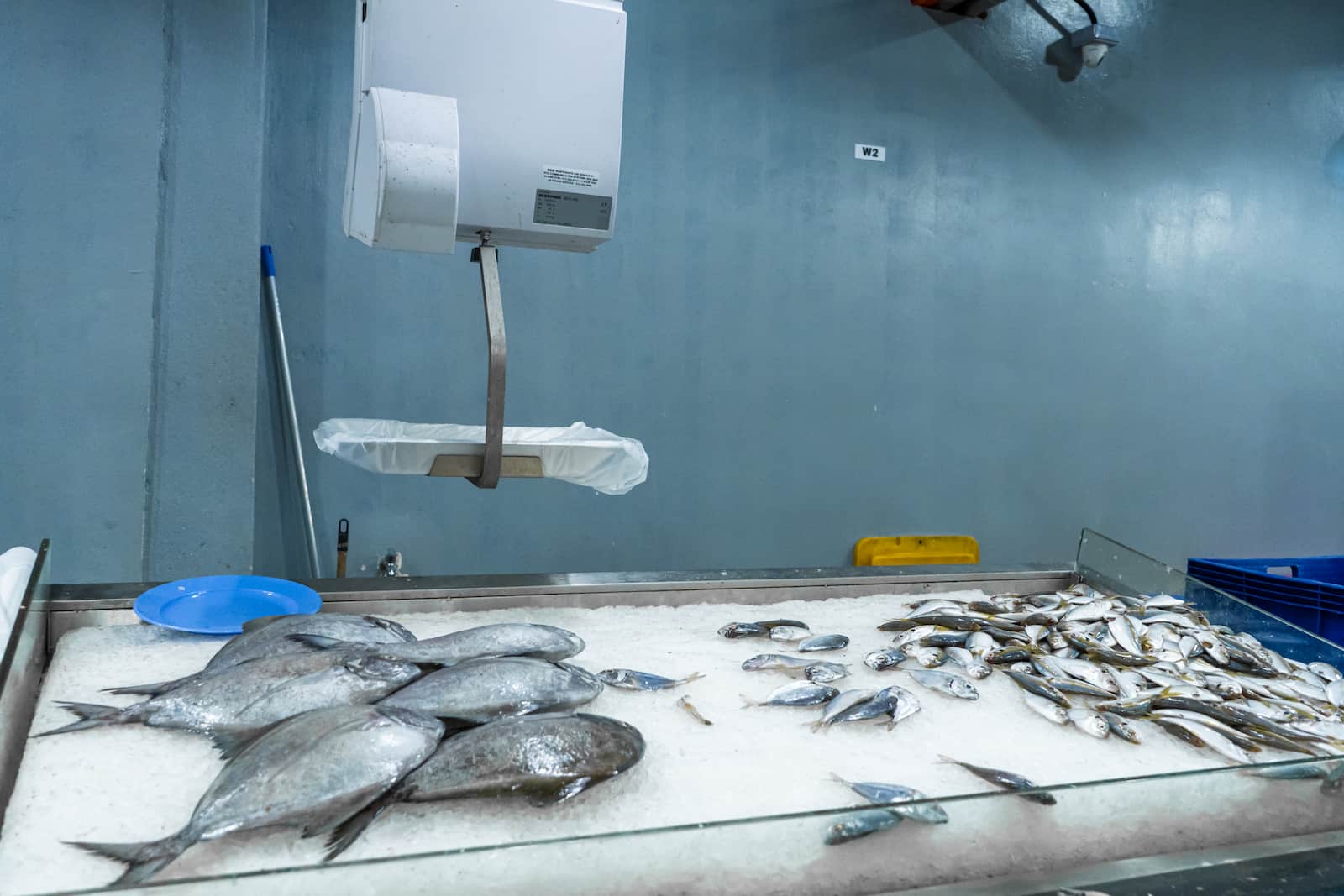 Peluang Bisnis Cold Storage: Investasi Strategis di Tengah Meningkatnya Kebutuhan Rantai Dingin
