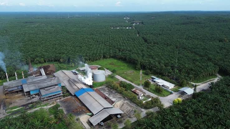 Agrinas Palma Perluas Kesempatan UMKM Lewat Sistem Pengadaan Digital Terintegrasi